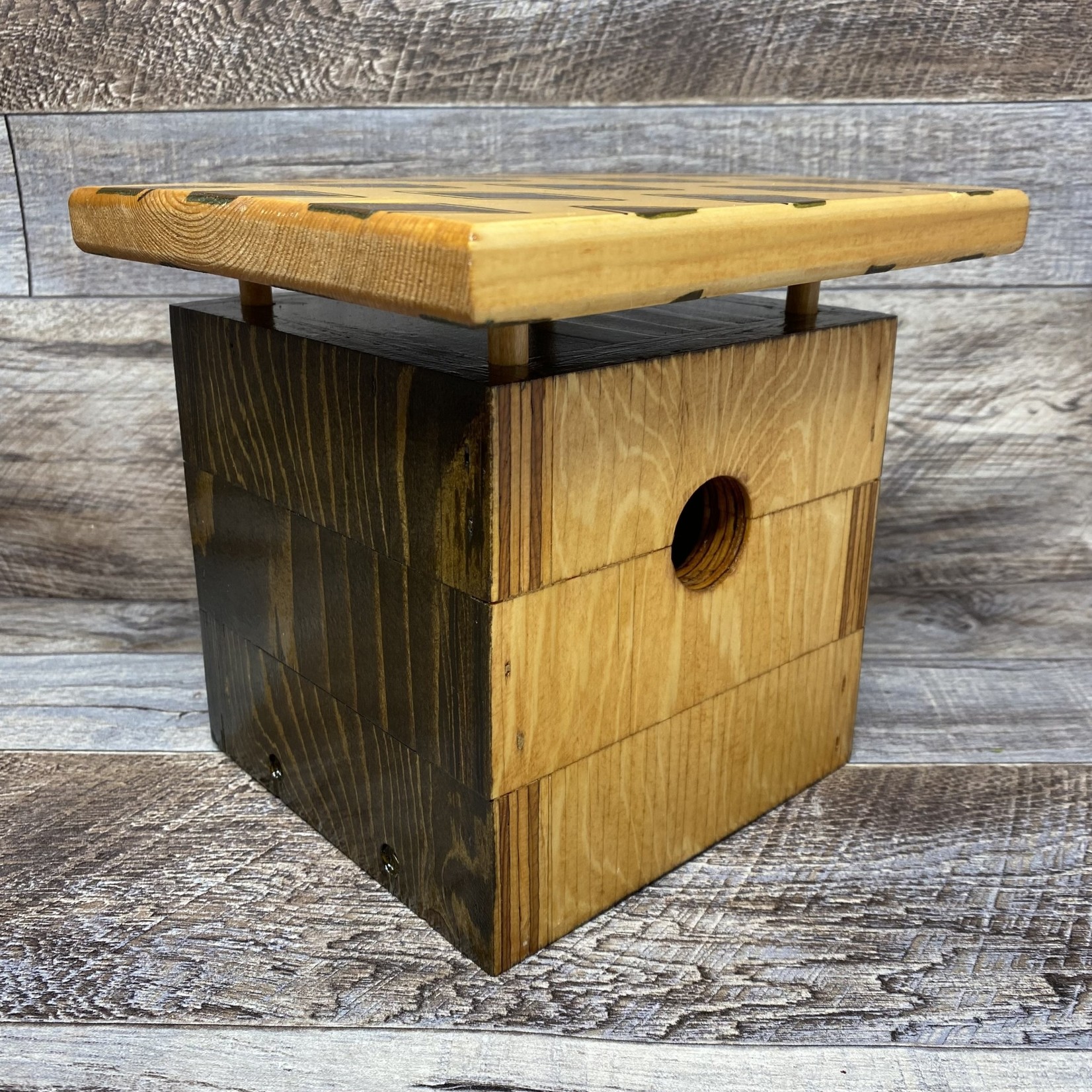 Clumsy Cat Flat Roof Bird House