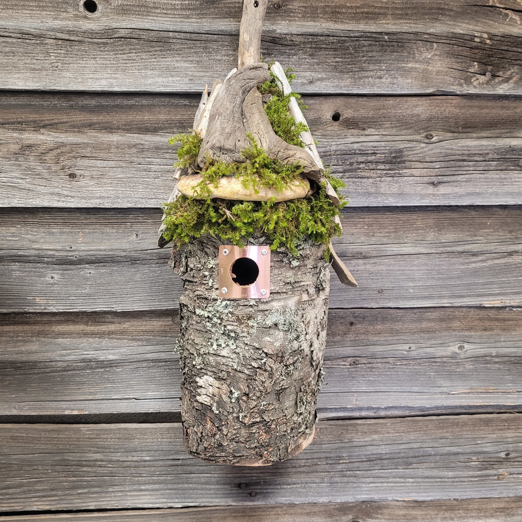 Leslie's Birch Bird Houses Hanging N Backyard Birds Nature Shop