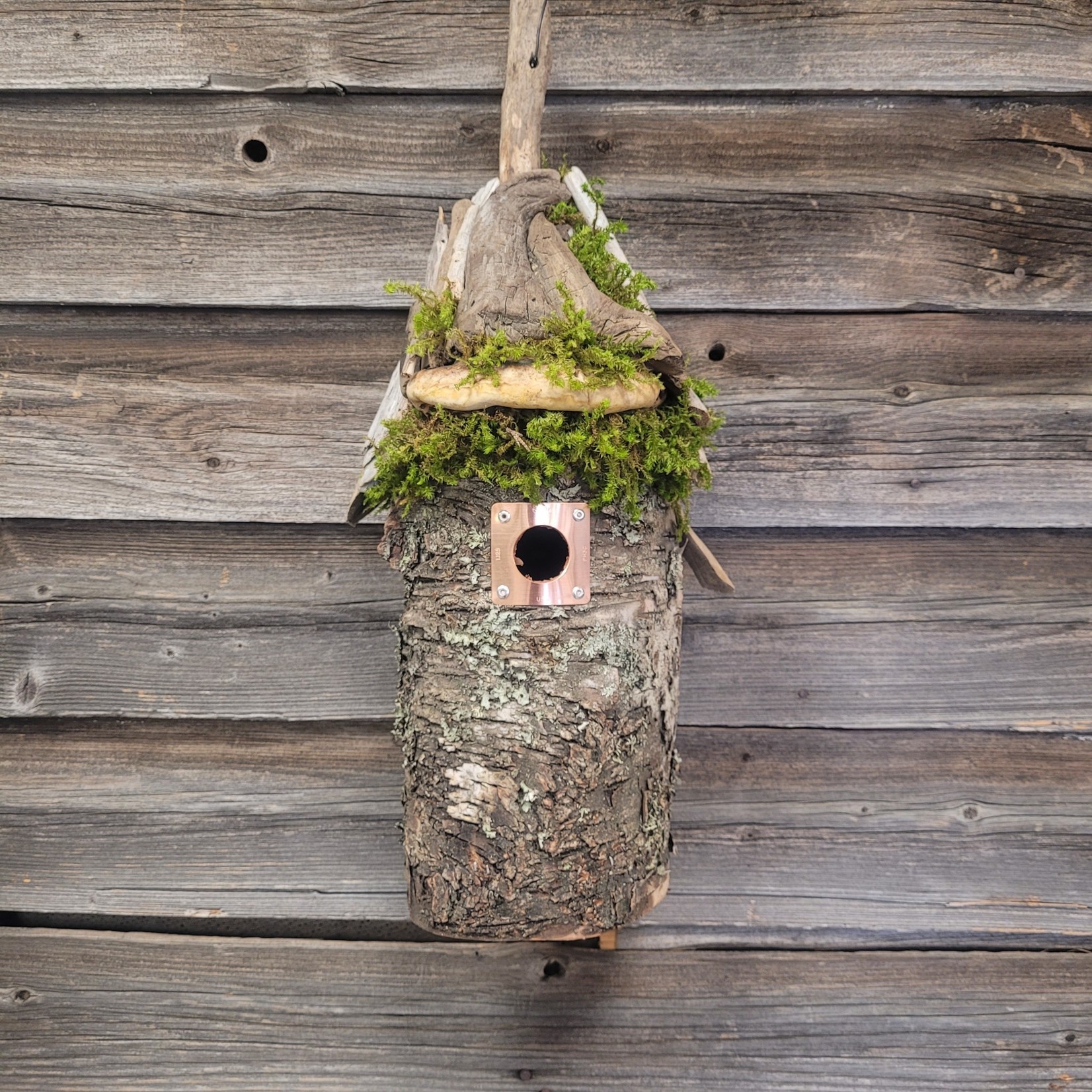 Leslie's Birch Bird Houses - Hanging P