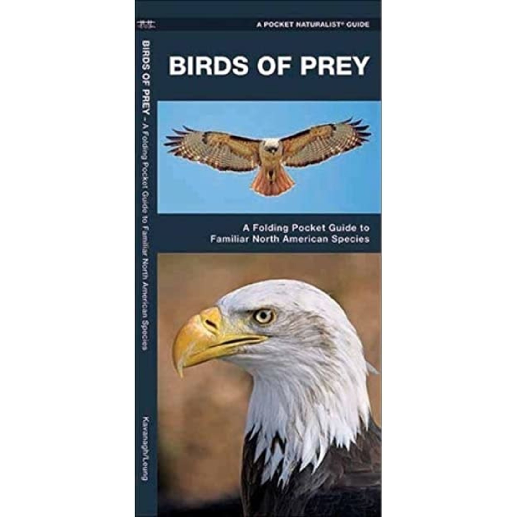 Folding Pocket Guide: Birds of Prey