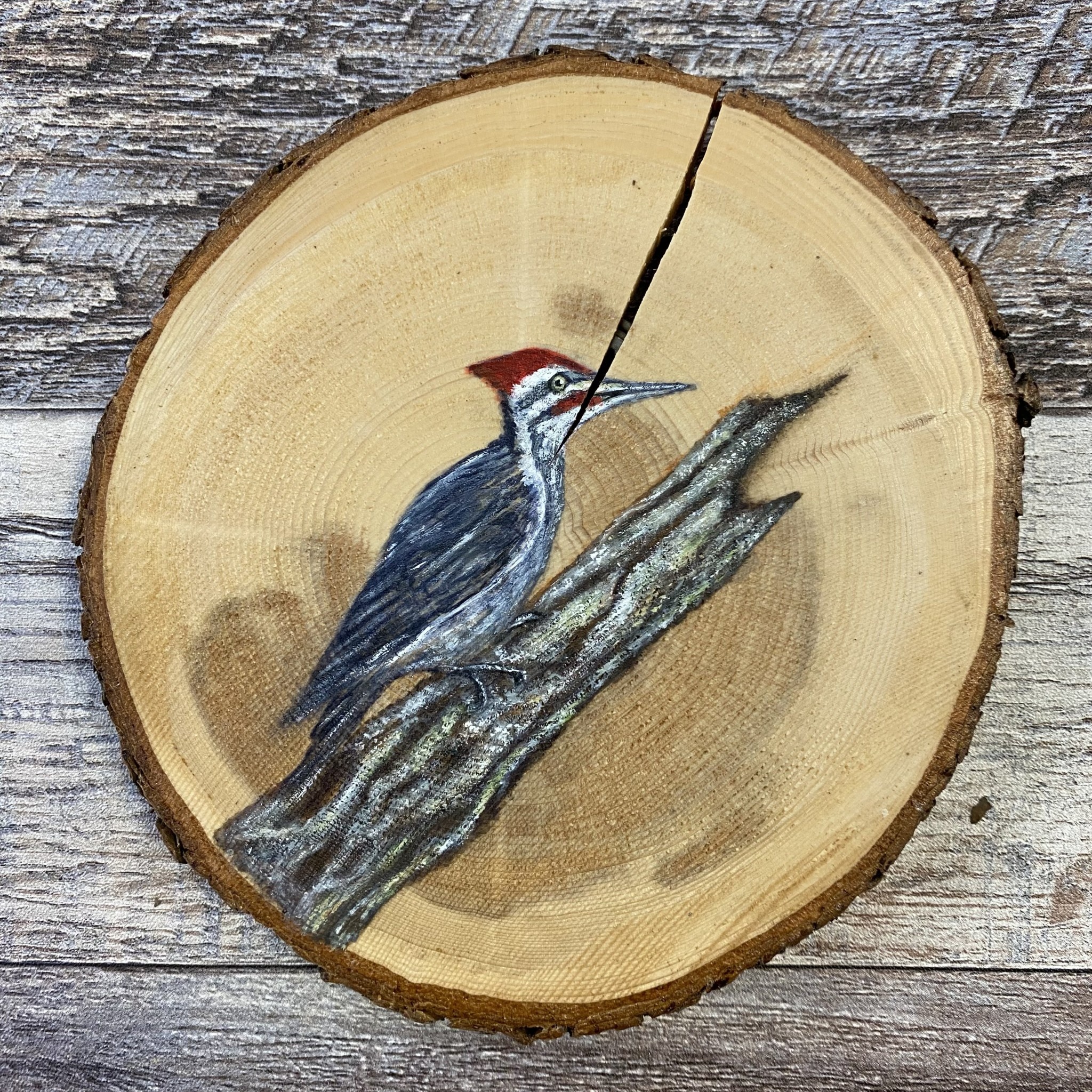 Wood Cookie Painting - Pileated Woodpecker - Backyard Birds Nature Shop