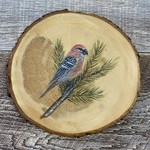 Wood Cookie Painting - Pine Grosbeak