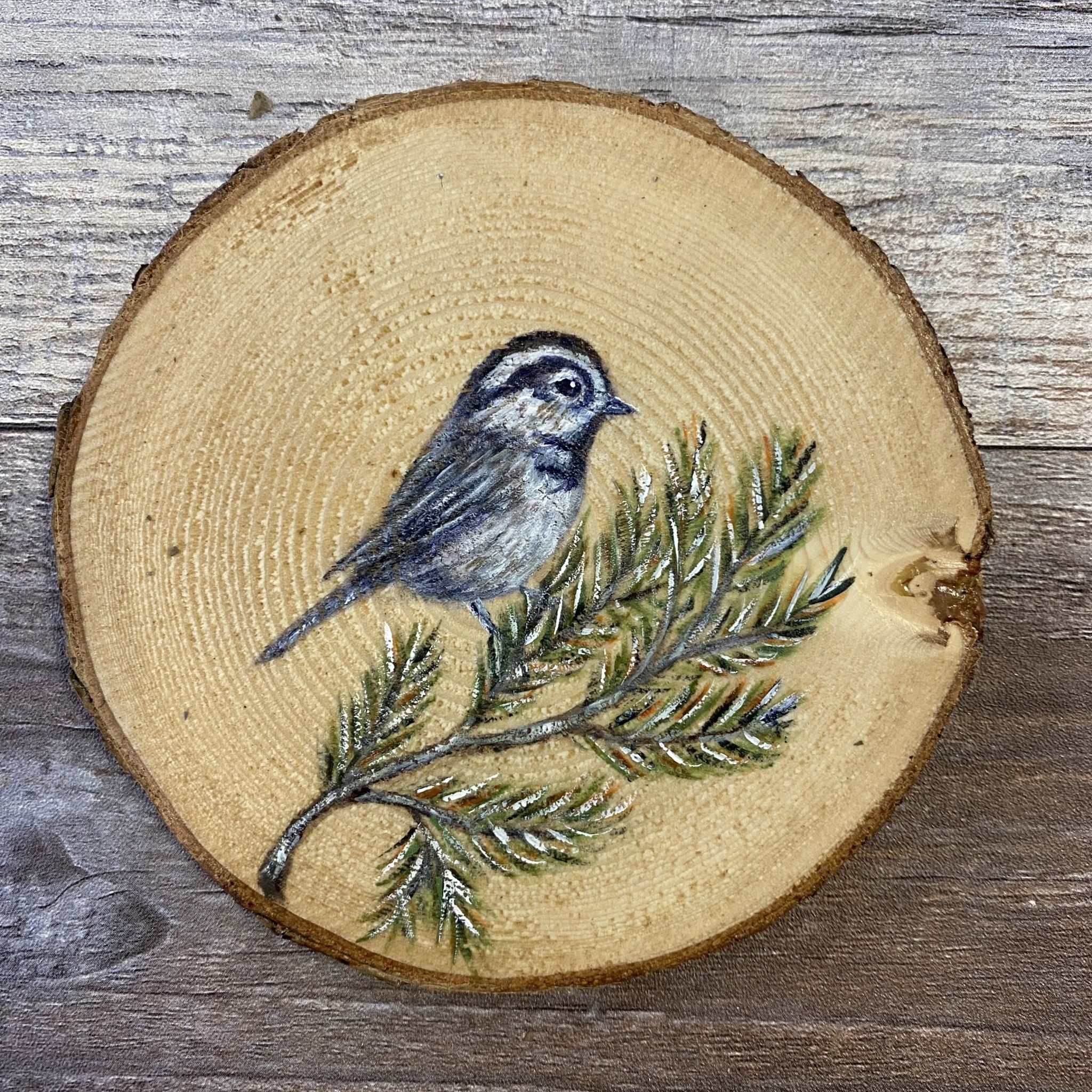 Wood Cookie Painting Mountain Chickadee Backyard Birds Nature Shop