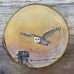 Wood Cookie Painting - Barn Owl
