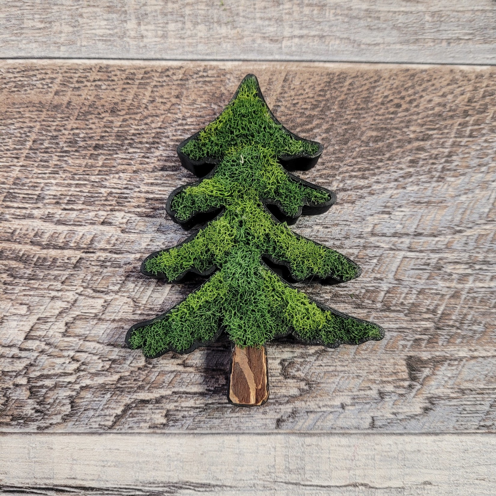 TreeD Canvas Moss Magnet - Pine Tree