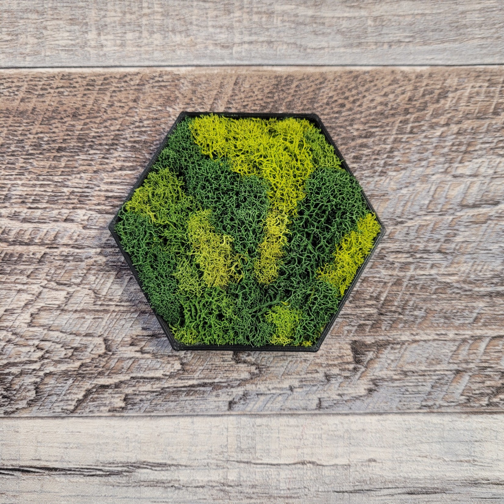 TreeD Canvas Moss Magnet - Hexagon