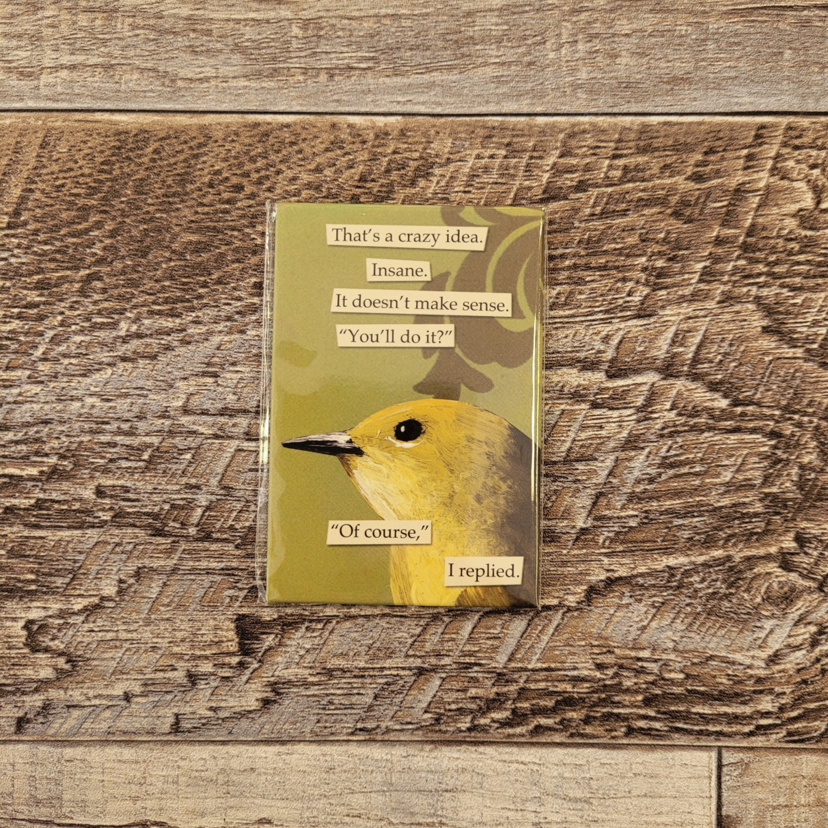 The Mincing Mockingbird Crazy Idea Of Course Backyard Birds Nature Shop