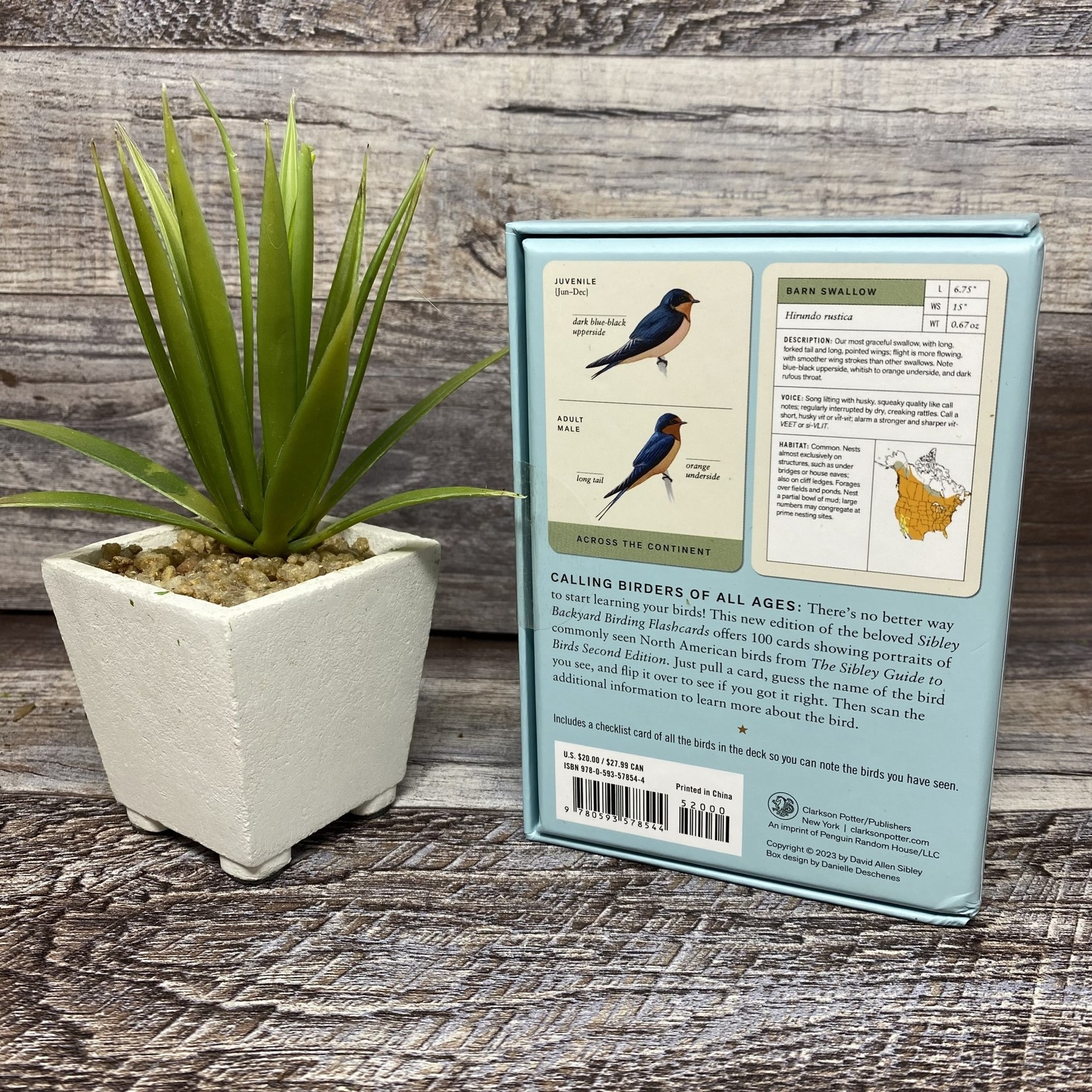 New Edition Sibley Backyard Birding Flashcards