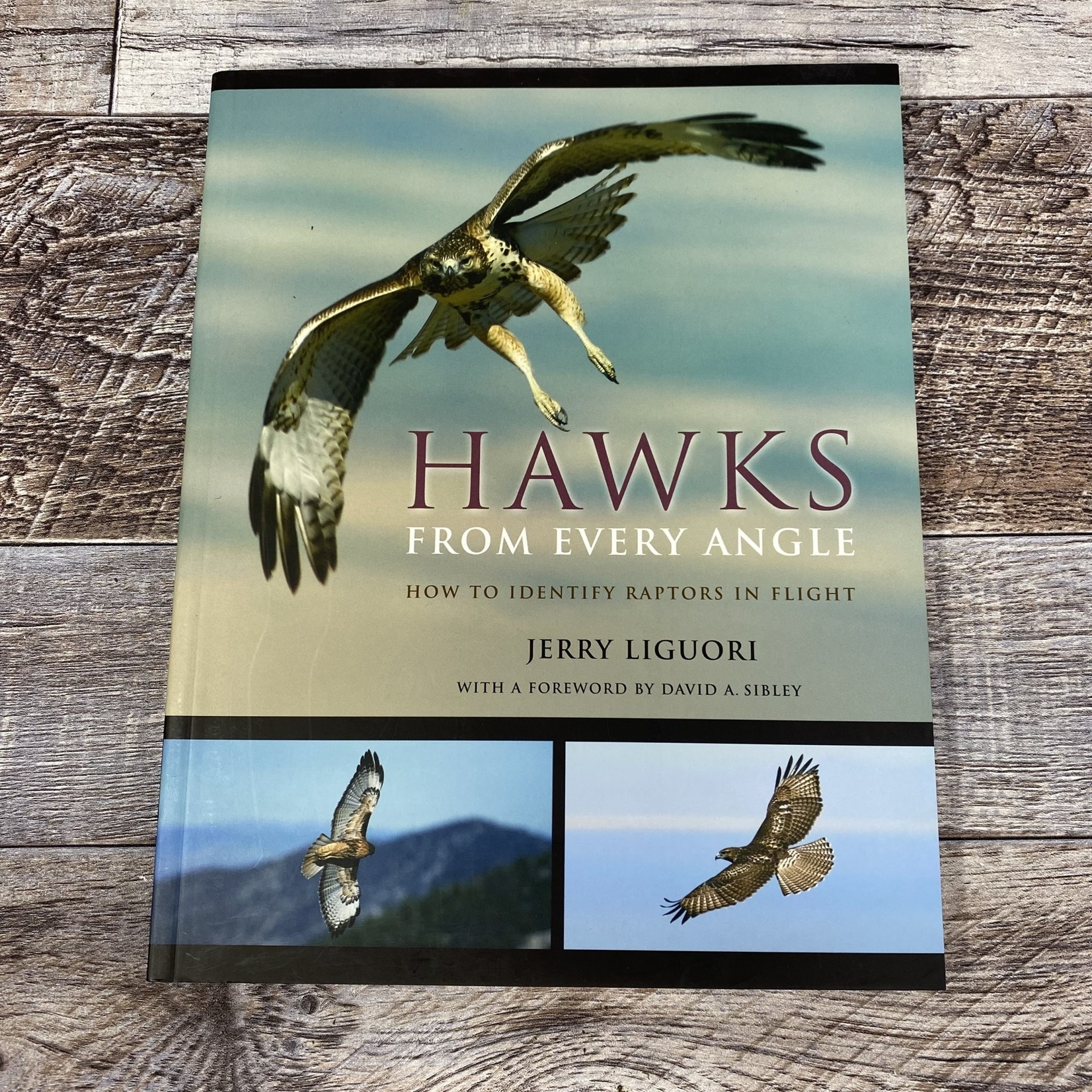 Hawks from Every Angle Book