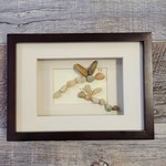 Ann's Rock Art - Dragonfly Duo Brown Frame