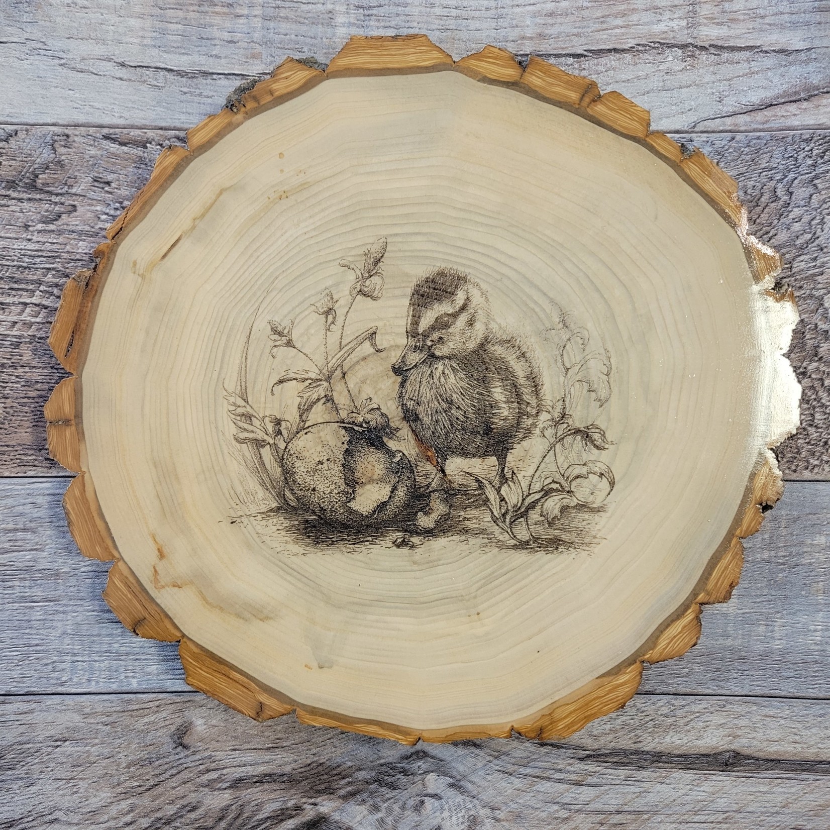 Sue's Prettys - Wood Round Engravings - Baby Chick