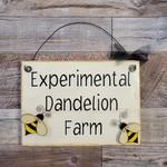 Sharon's Experimental Dandelion Farm Sign