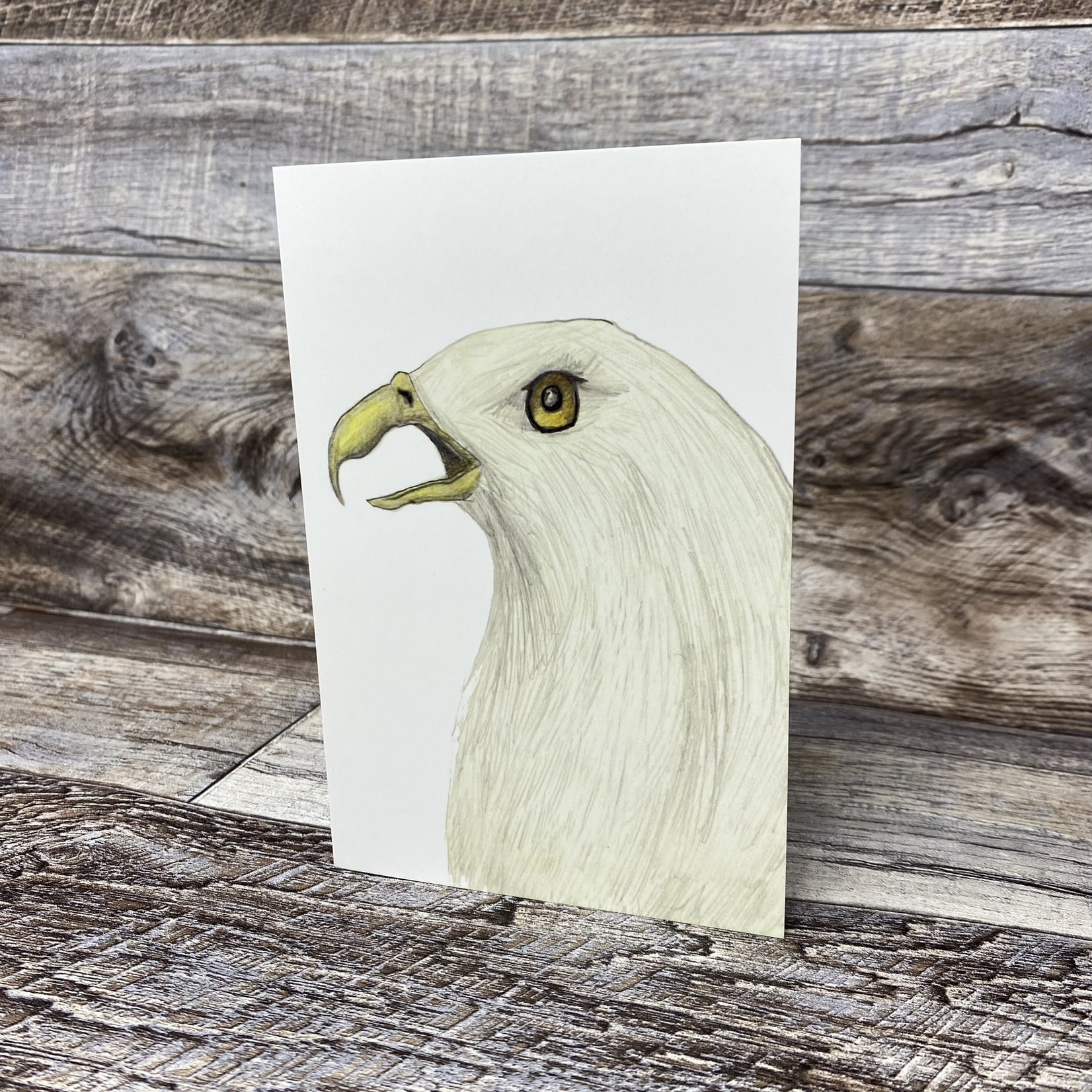 Tayla Bansema Greeting Card - Bald Eagle