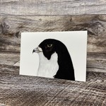 Tayla Bansema Greeting Card - Peregrine Falcon
