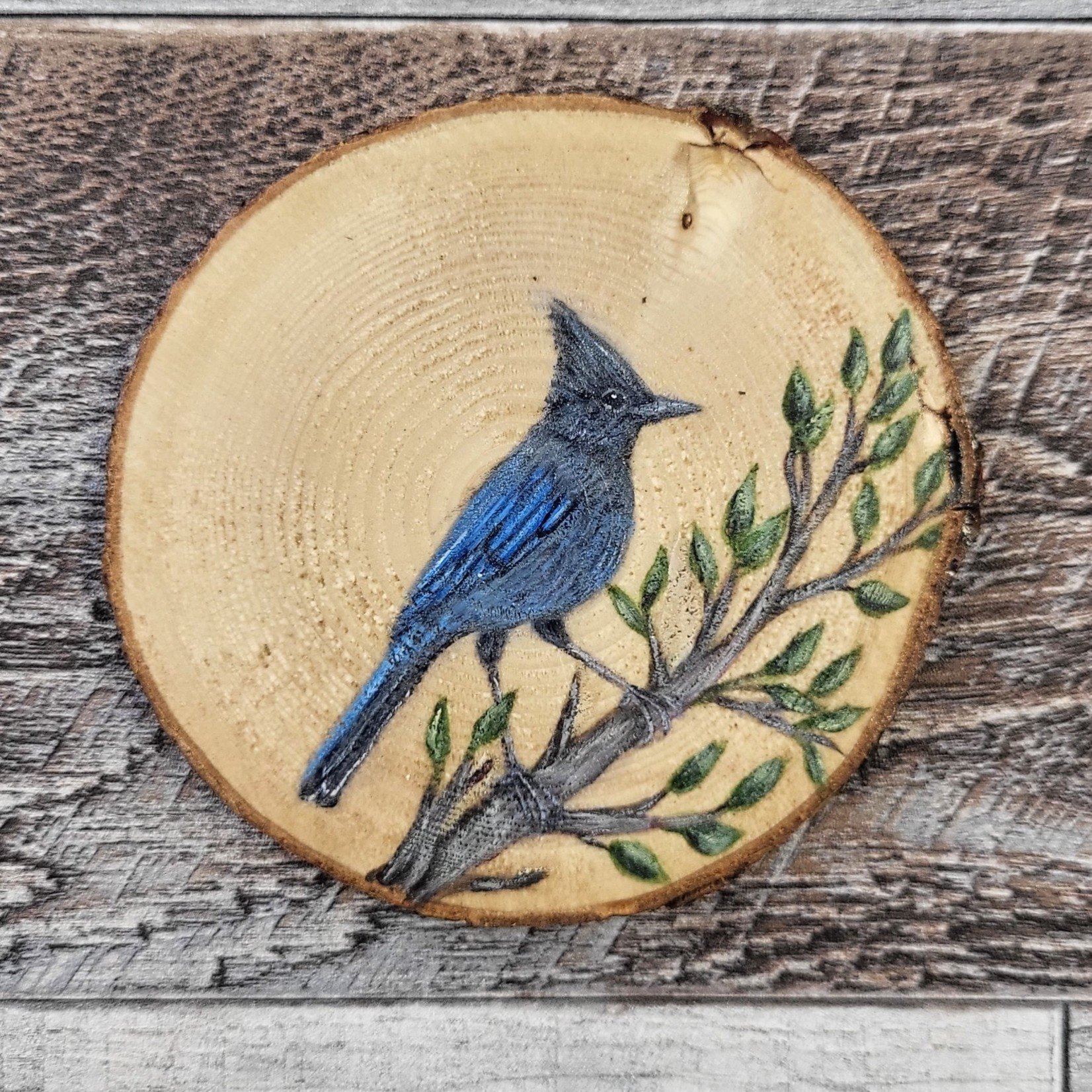 Wood Cookie Painting - Steller's Jay