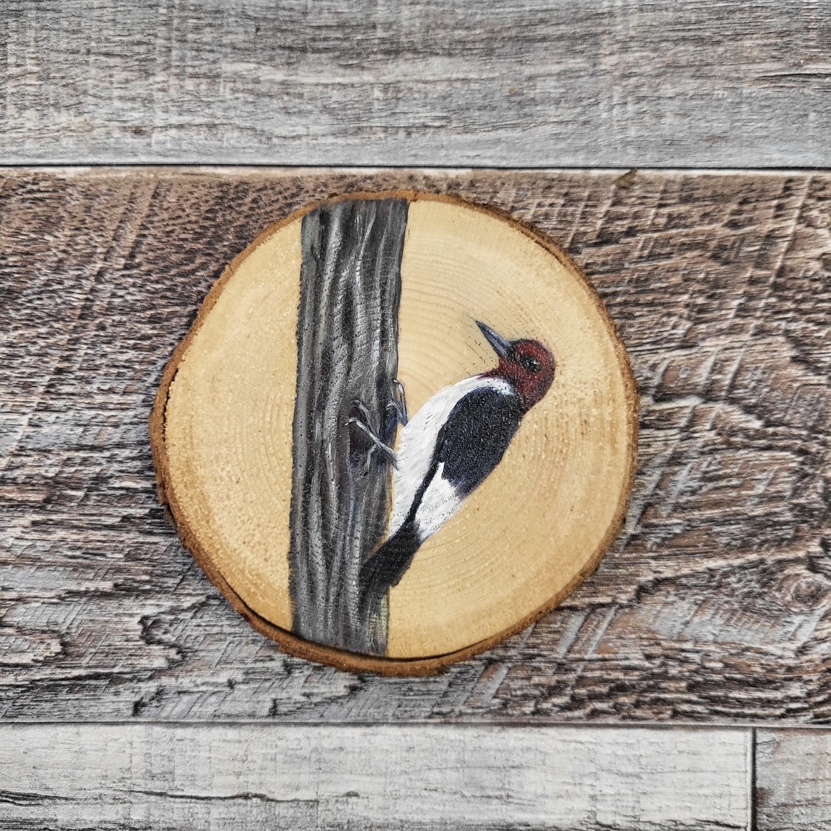 Wood Cookie Painting - Red-Headed Woodpecker