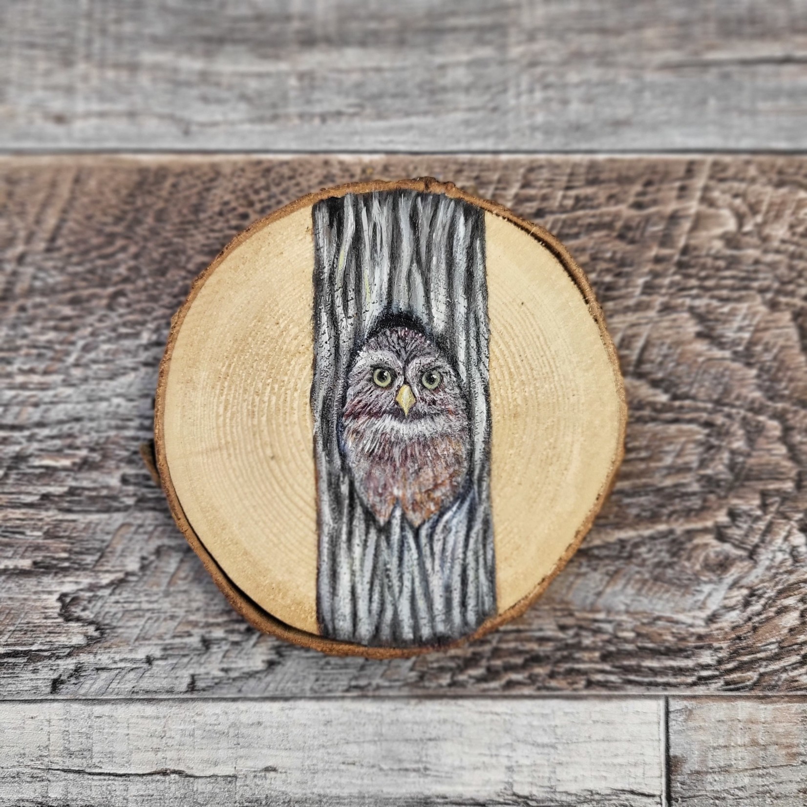 Wood Cookie Painting - Pygmy Owl