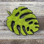 TreeD Canvas Medium Moss Art Piece - Monstera Leaf