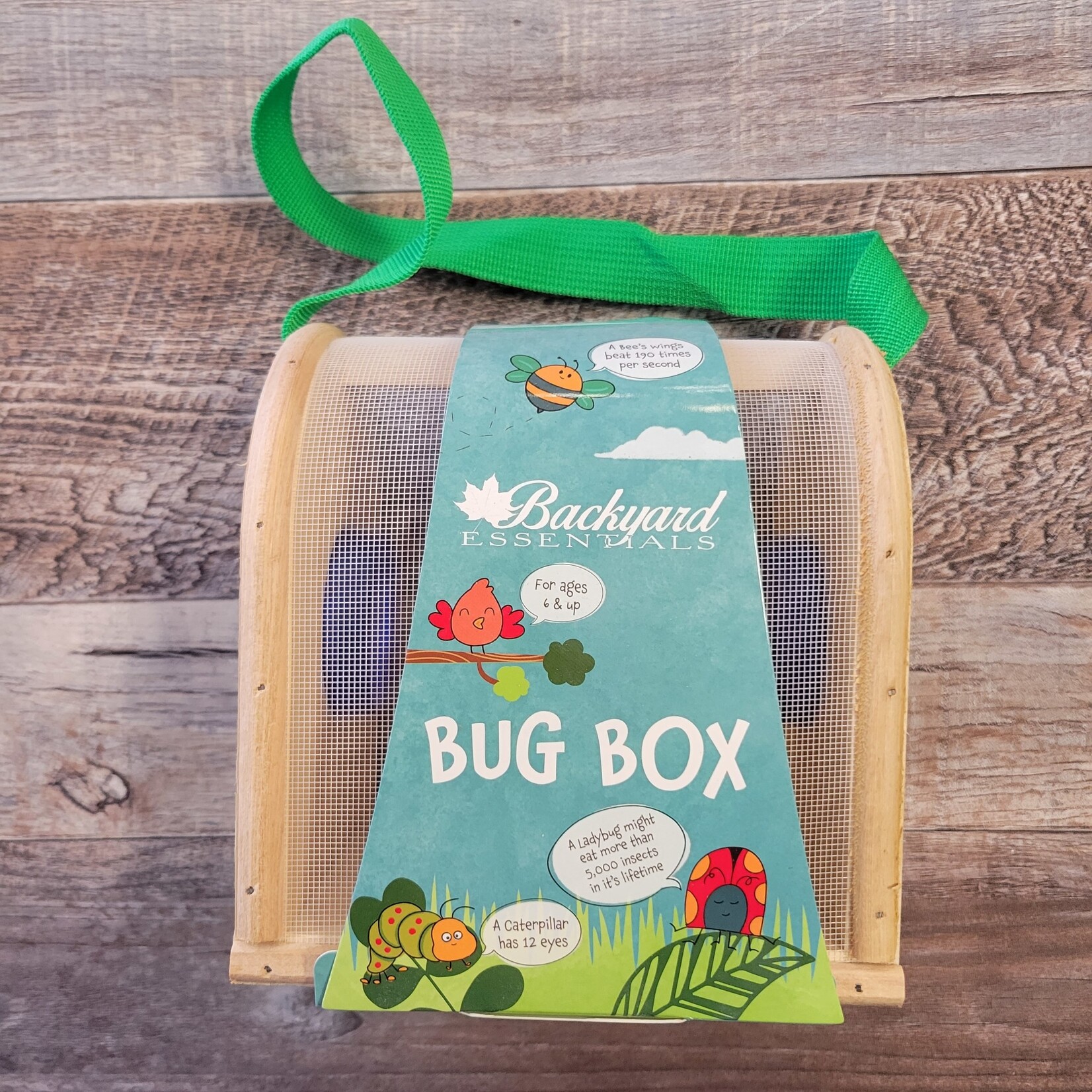 Kids Bug Box - Backyard Birds Nature Shop