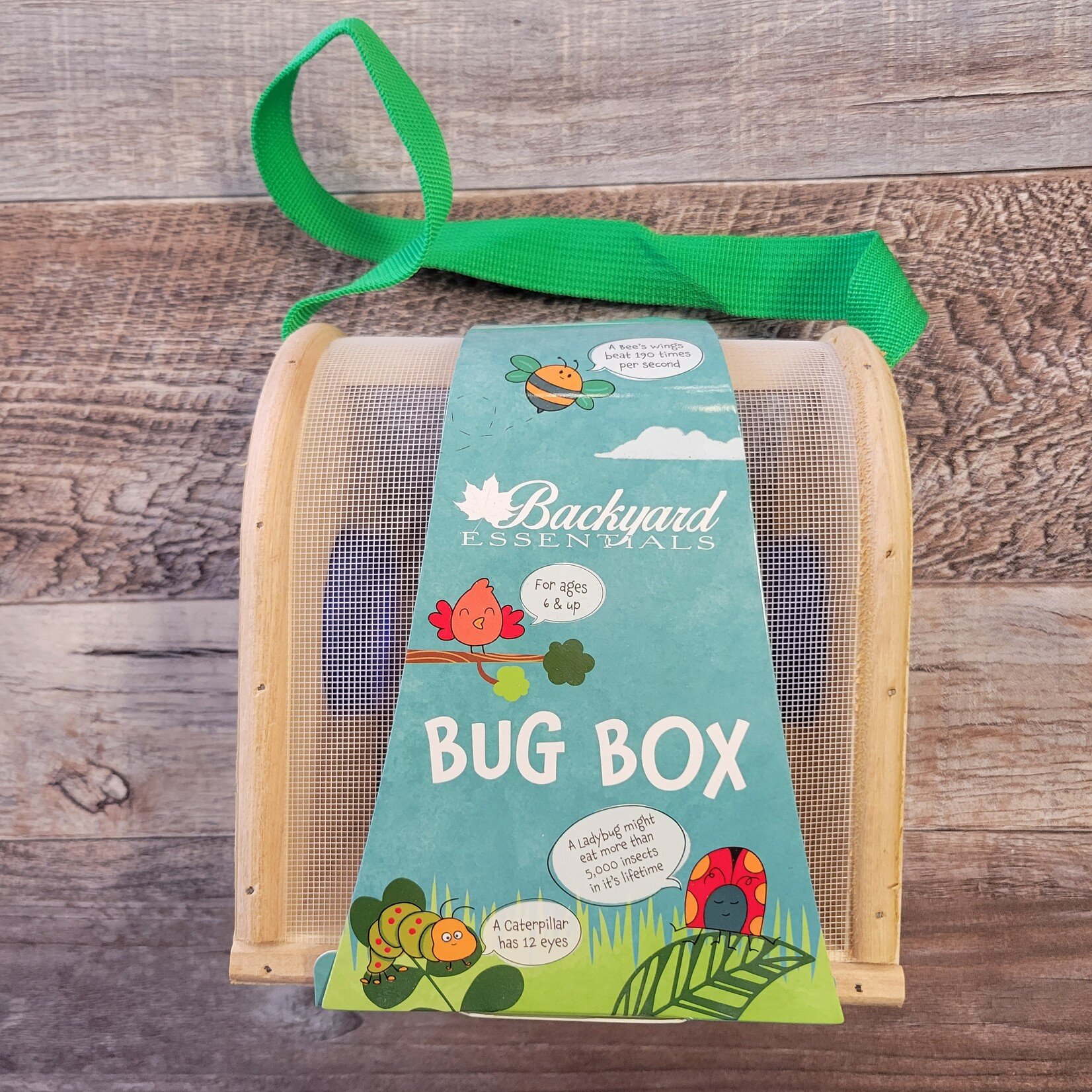 Kids Bug Box