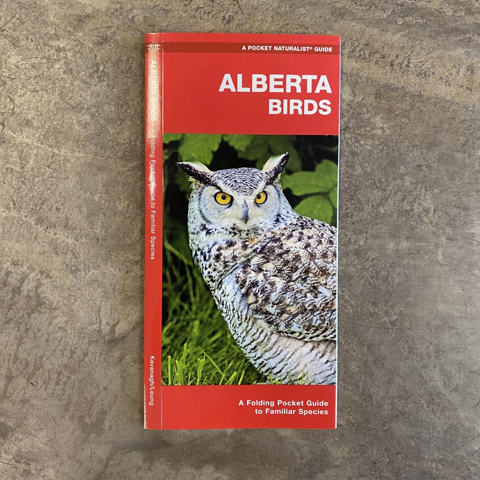 Folding Pocket Guide: Alberta Birds