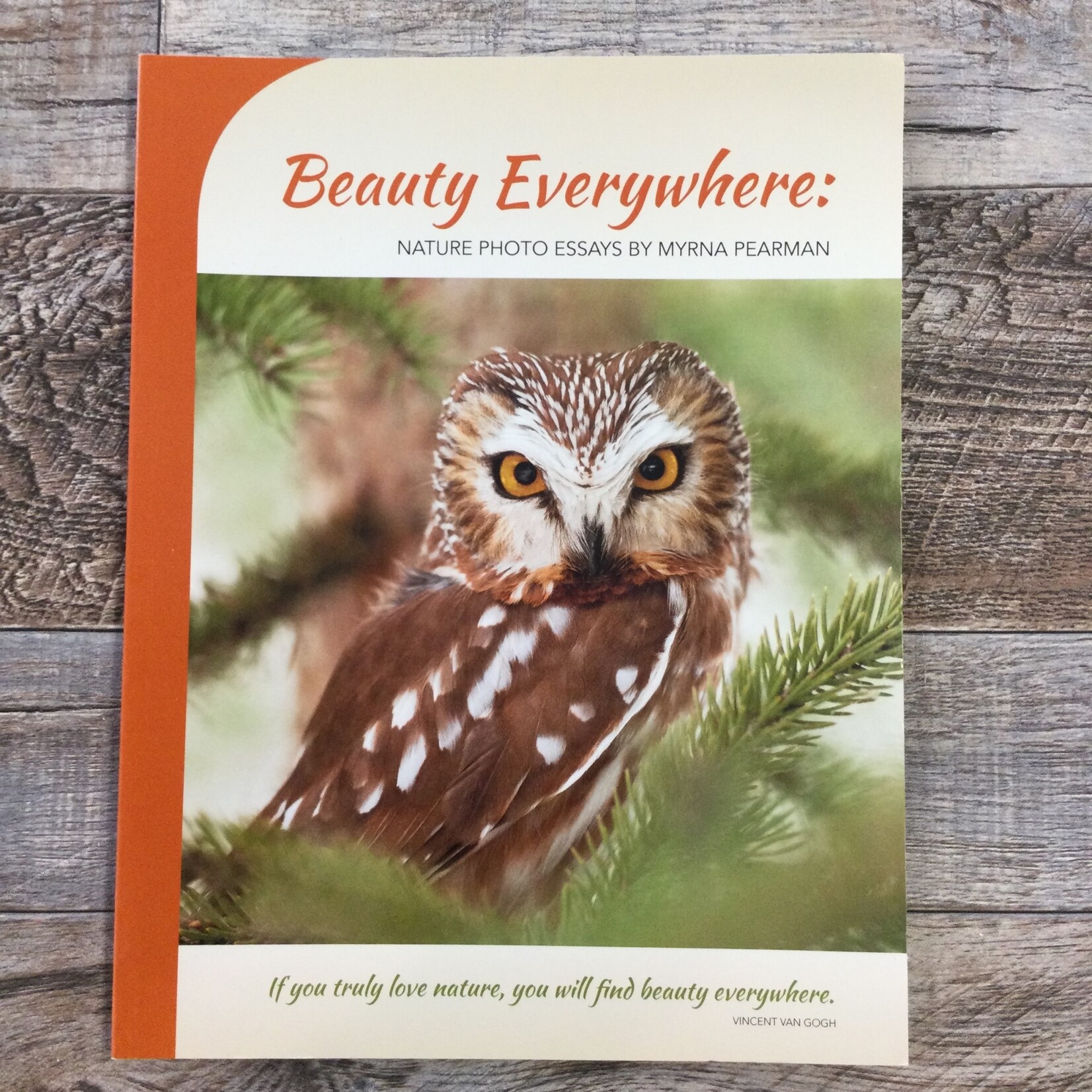 Beauty Everywhere: Nature Photo Essays