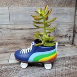 Succulent Arrangement - Rainbow Rollerskate Planter