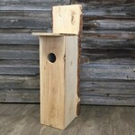 Bearded Woodsman - Northern Flicker Nesting Box