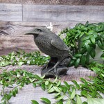 FiveSisterCraft Beeswax Candle - Crow