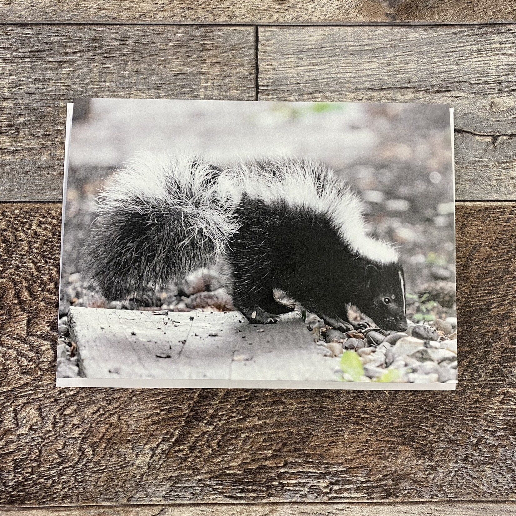Kamala & Kyle Greeting Card - Little Stinker Striped Skunk