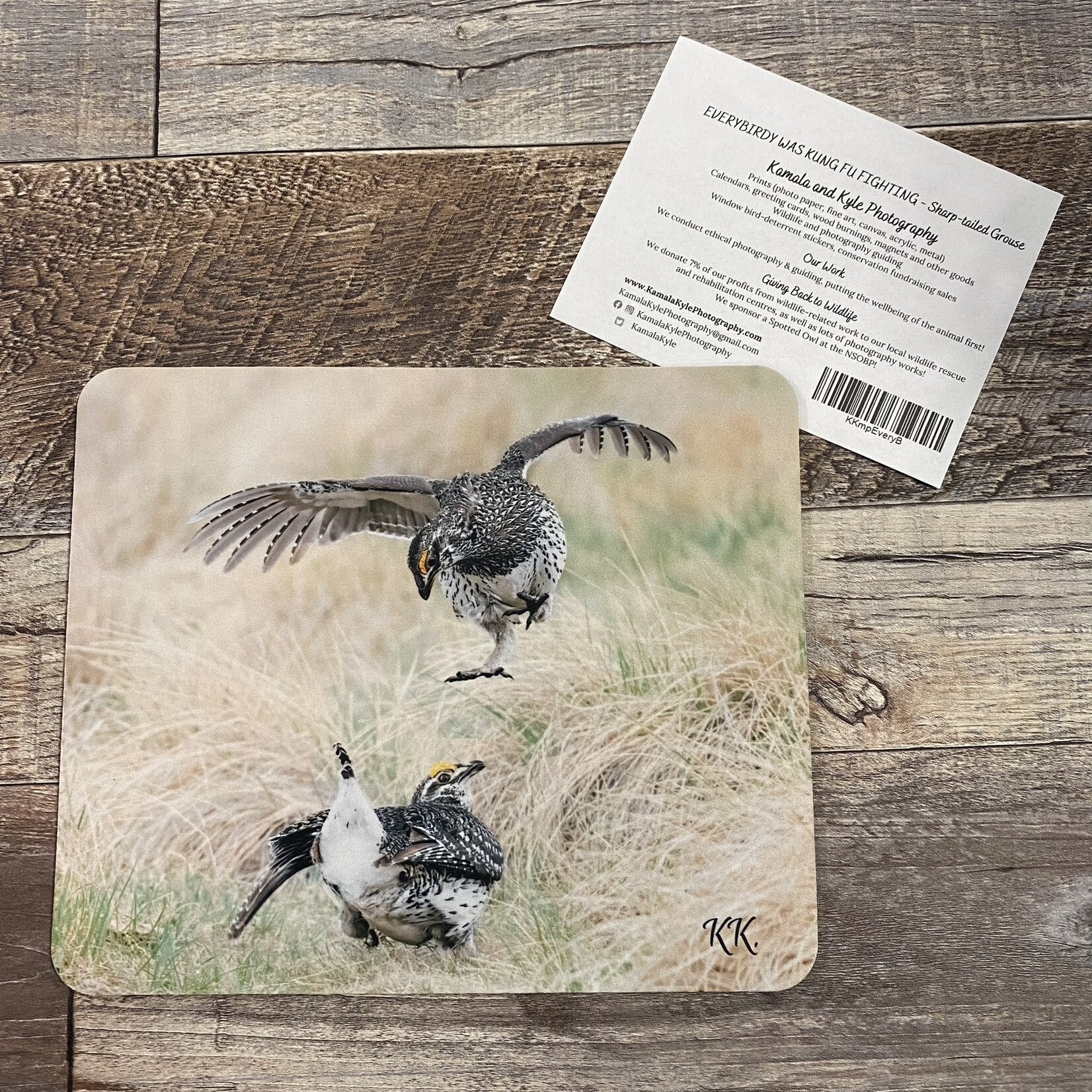 Kamala & Kyle Wildlife Photography - Mousepad