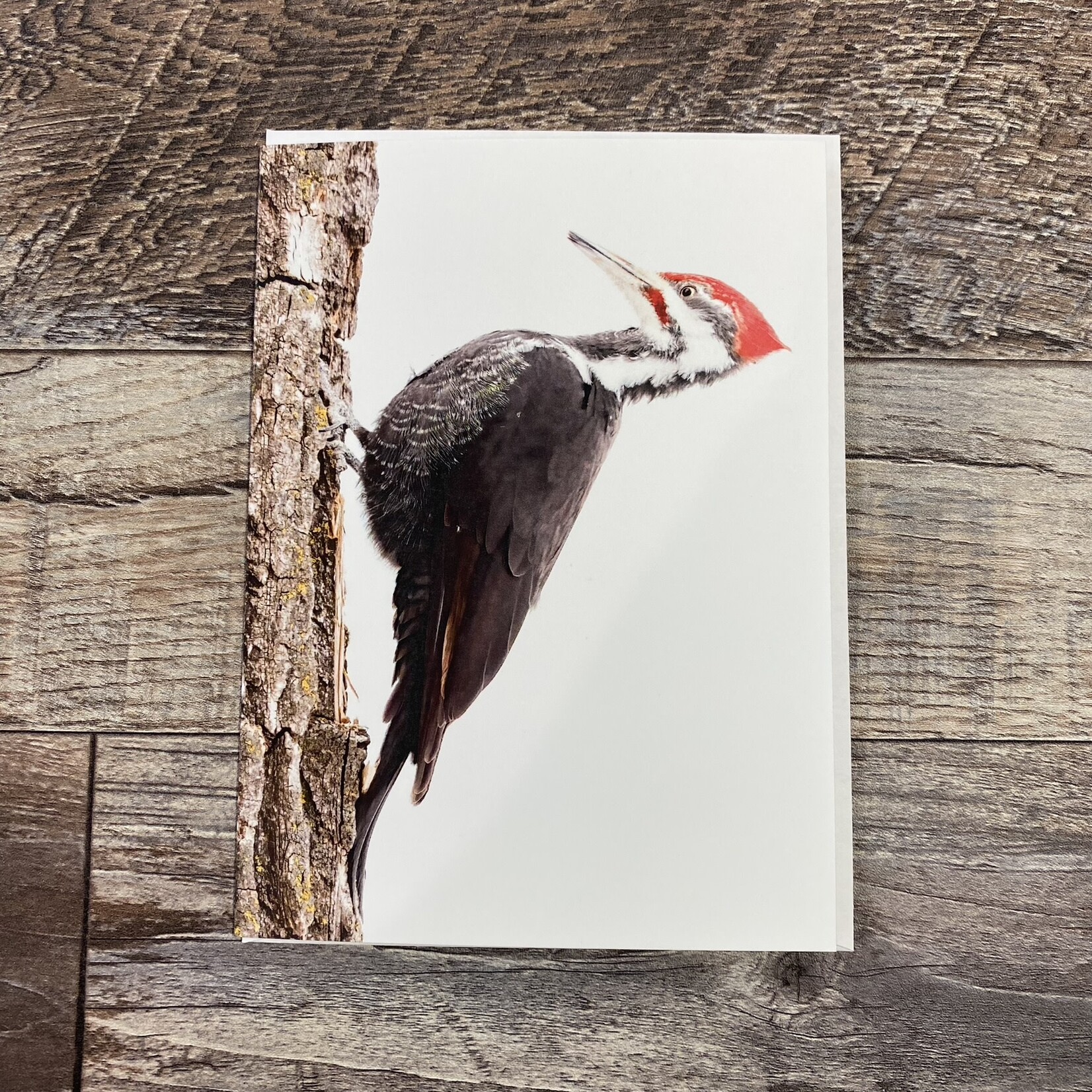 Kamala & Kyle Greeting Card - Pileated Peckerhead