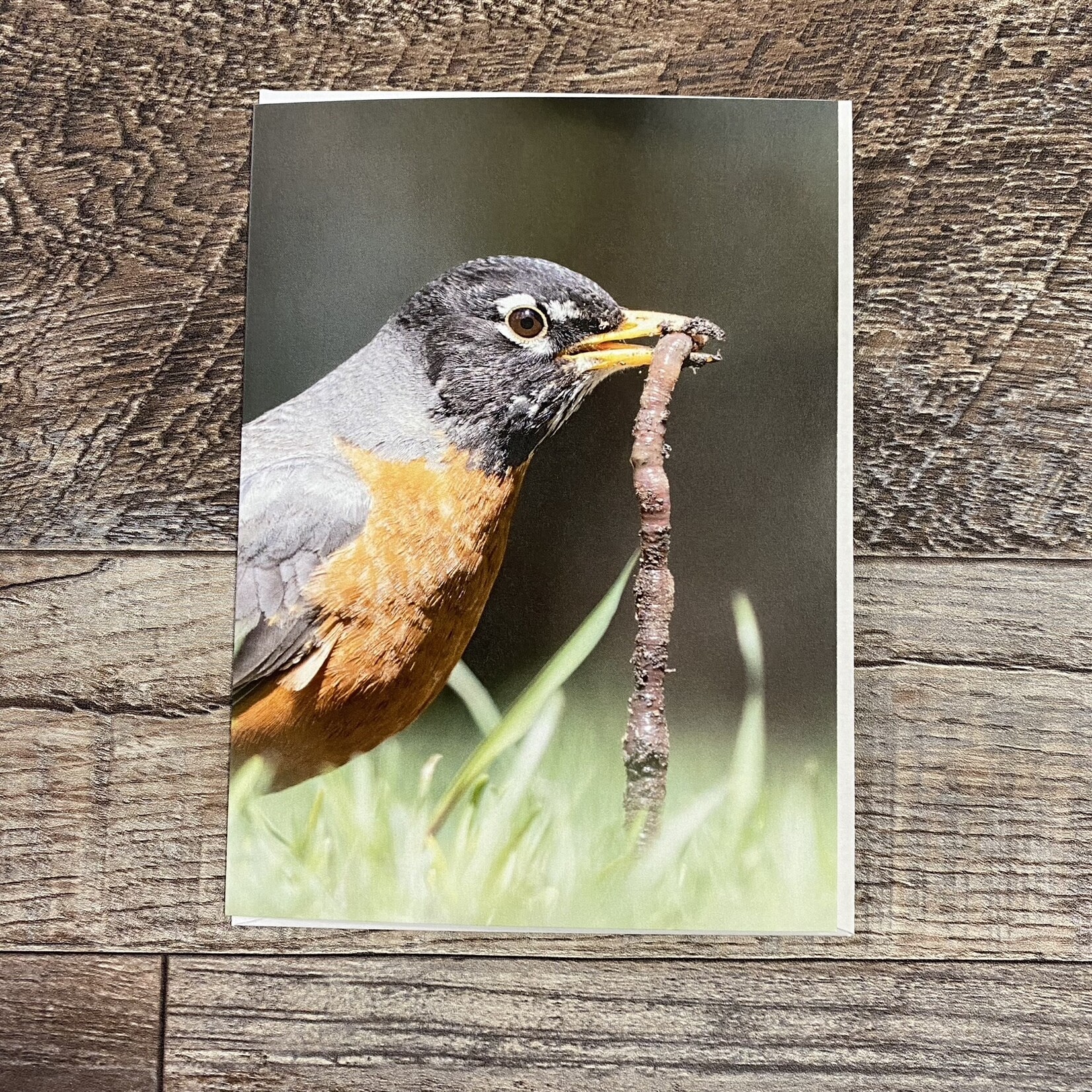 Kamala & Kyle Greeting Card - American Robin