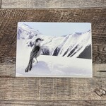 Kamala & Kyle Greeting Card - Canada Jay Mountains