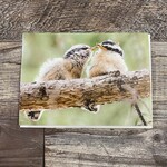 Kamala & Kyle Greeting Card - Red-breasted Nuthatch Babies