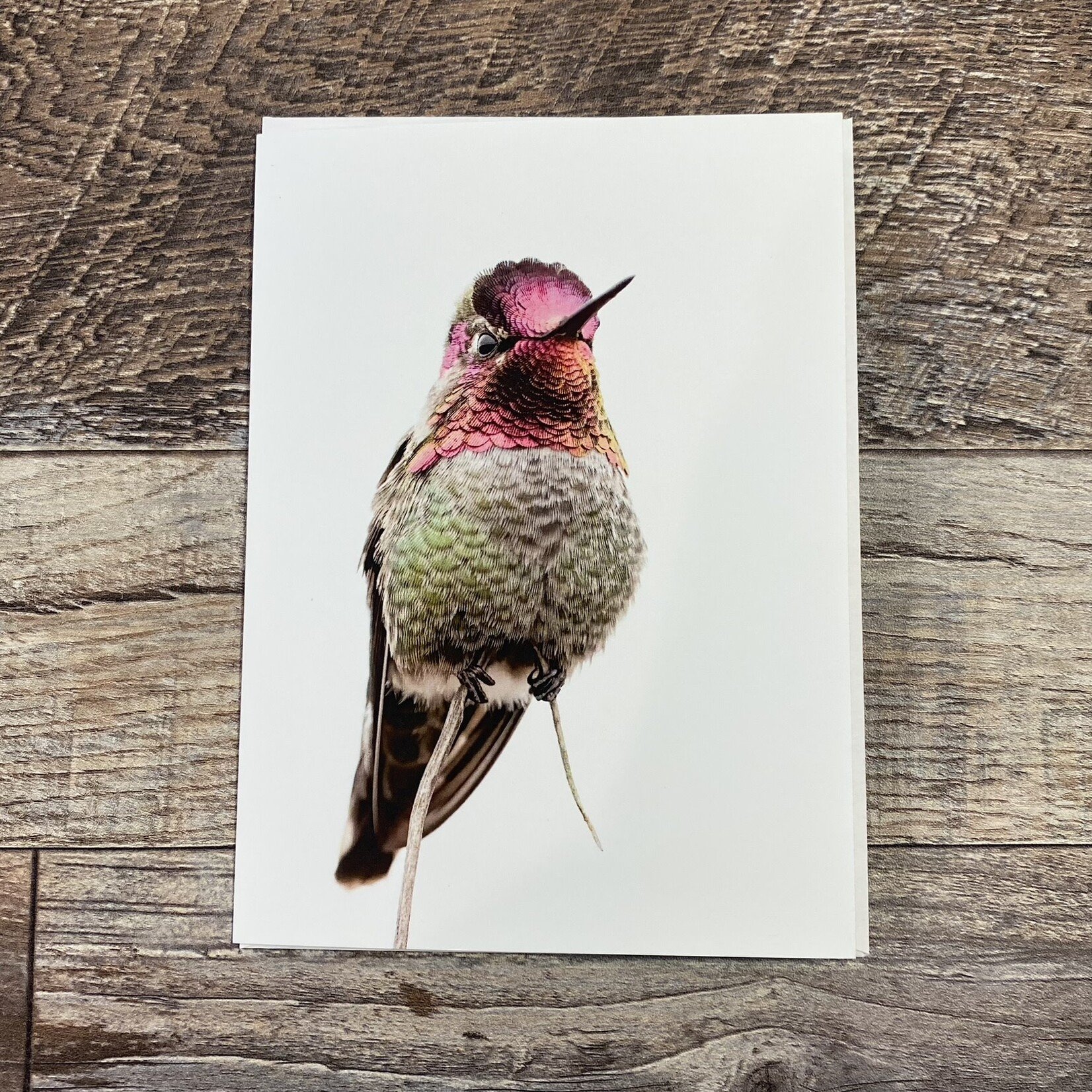 Kamala & Kyle Greeting Card - Anna's Hummingbird