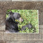 Kamala & Kyle Greeting Card - Berrie Good Black Bear
