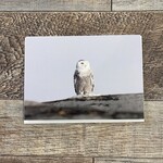 Kamala & Kyle Greeting Card - Snowy Owl