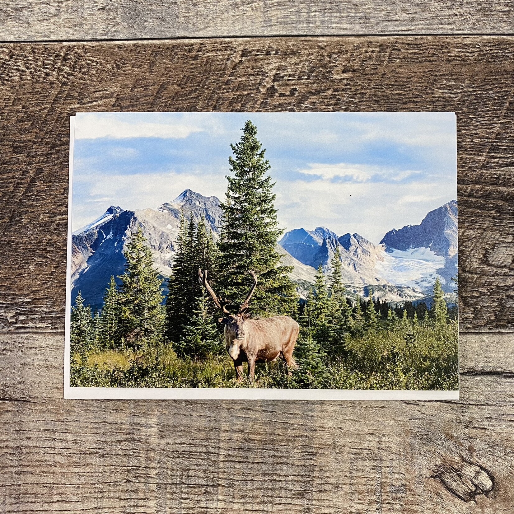 Kamala & Kyle Greeting Card - Woodland Caribou