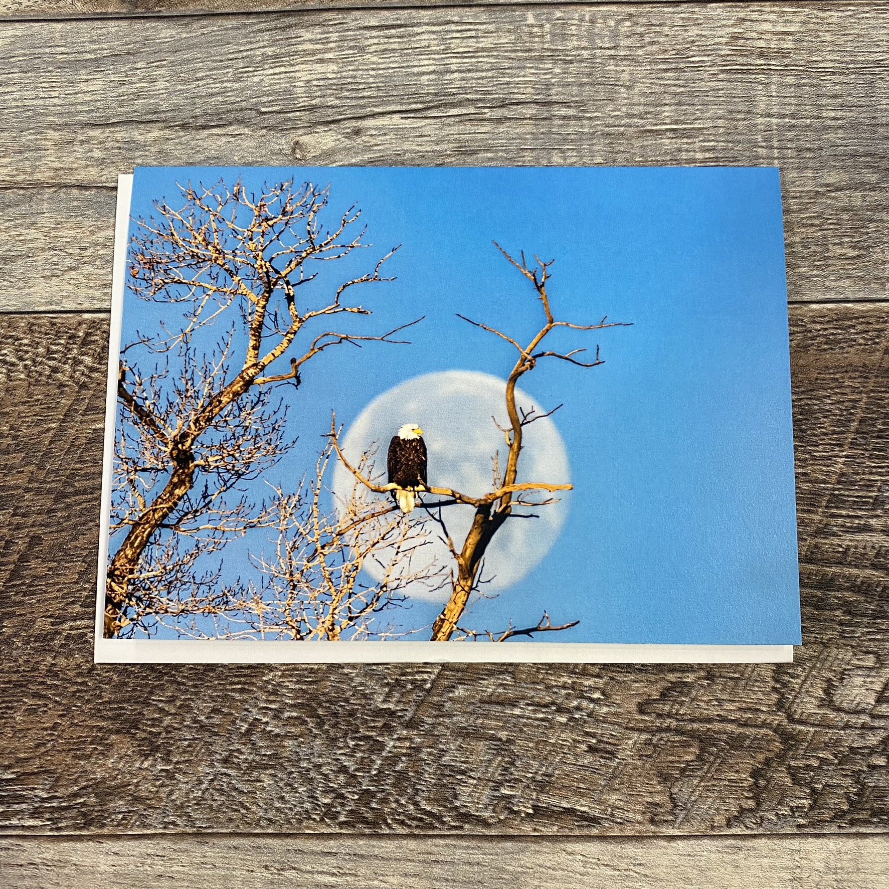 Kamala & Kyle Greeting Card - Bald Eagle Moon - Backyard Birds Nature Shop