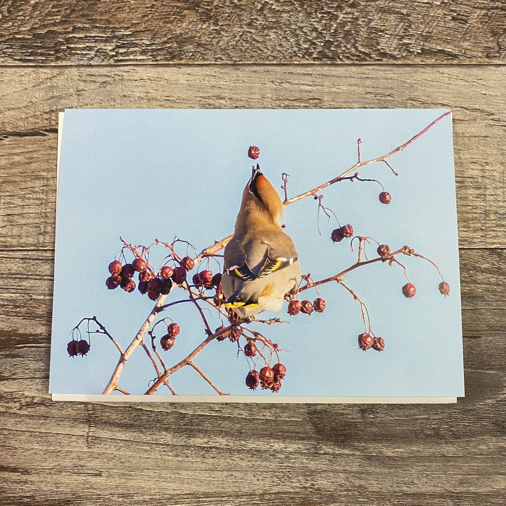 Kamala & Kyle Greeting Card - Bohemian Waxwing