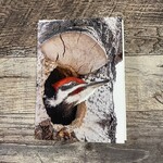 Kamala & Kyle Greeting Card - Pileated Woodpecker Cavity