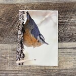 Kamala & Kyle Greeting Card - Red-Breasted Nuthatch