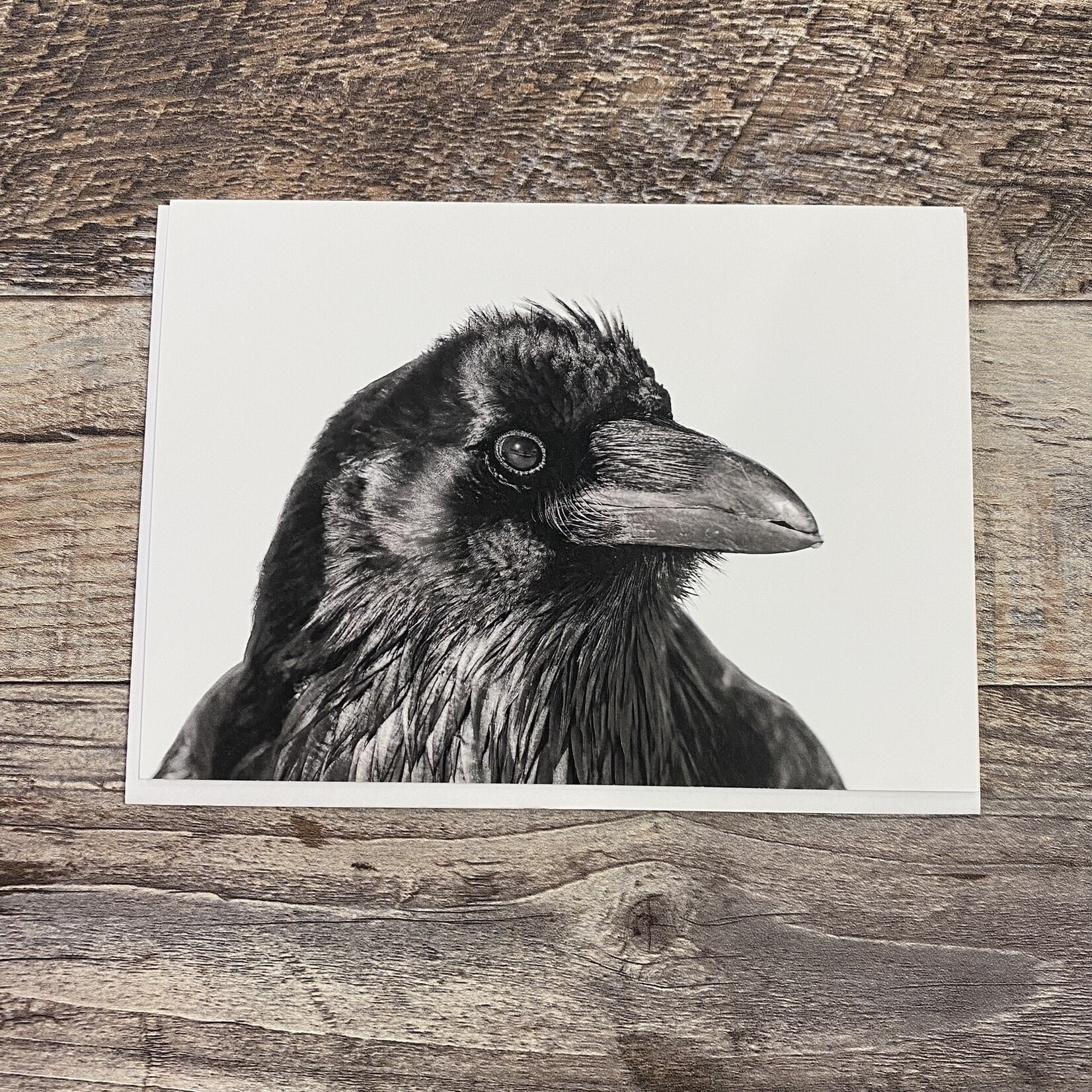 Kamala & Kyle Greeting Card - Common Raven