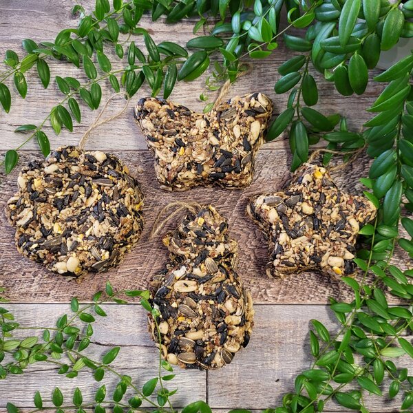 Handmade Bird Seed Cylinders & Cakes Backyard Birds Nature Shop