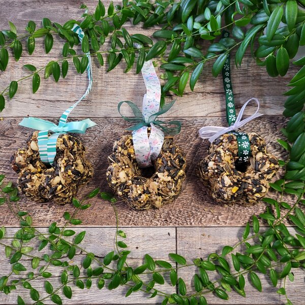 Handmade Bird Seed Cylinders & Cakes Backyard Birds Nature Shop