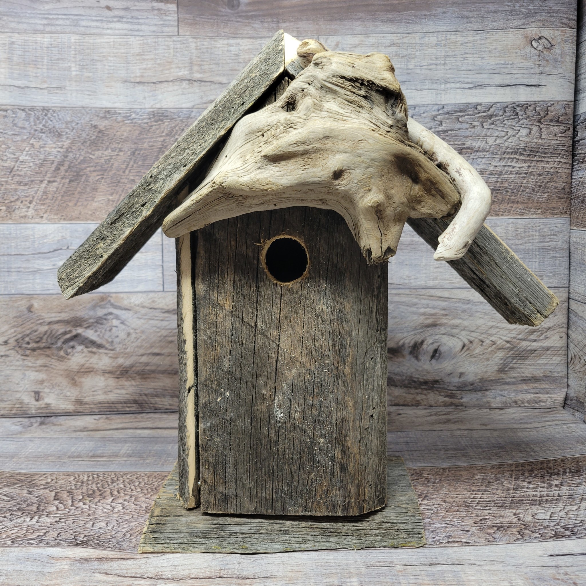 Vern's Painted Bird House Rustic Backyard Birds Nature Shop