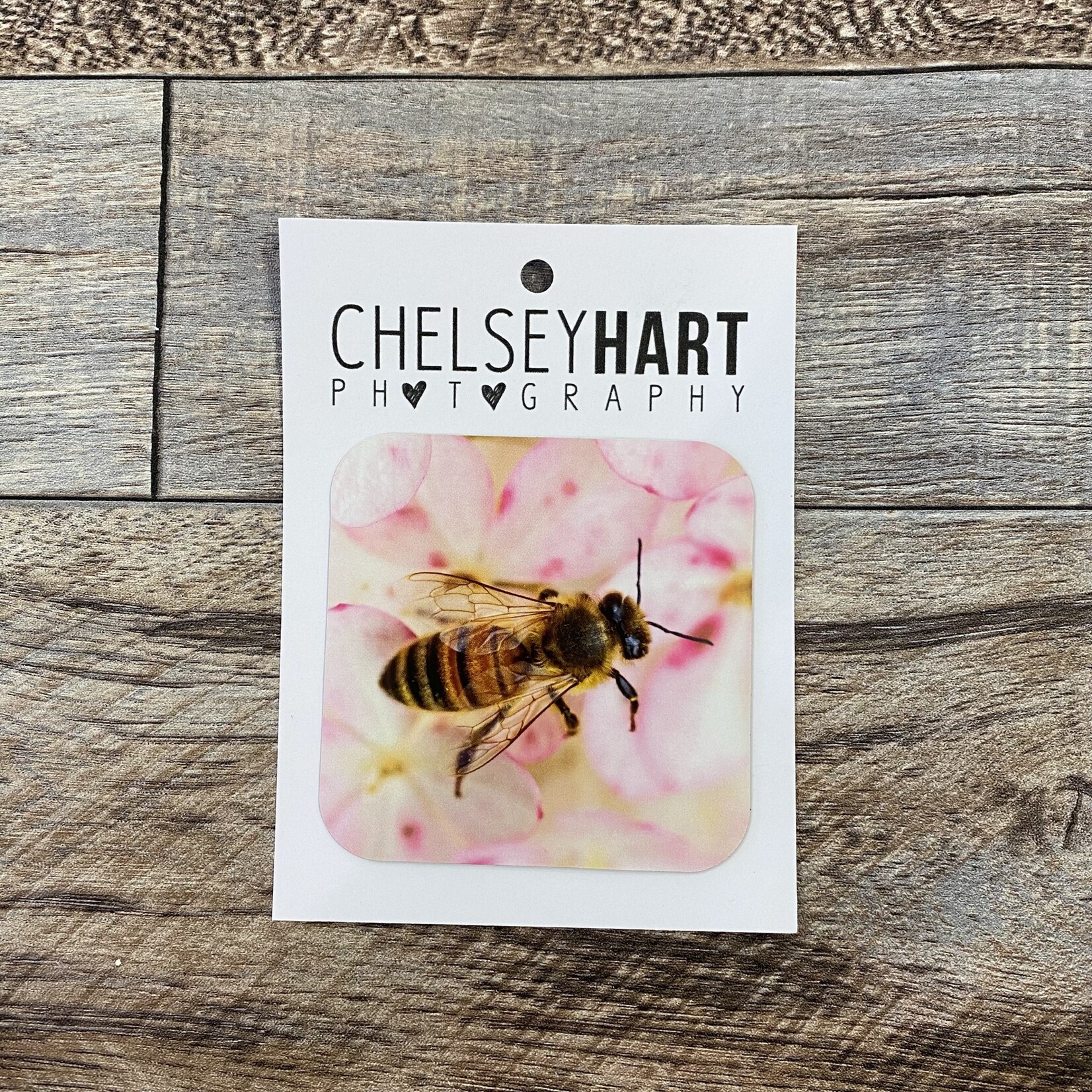 Chelsey Hart Photography Bee Magnet