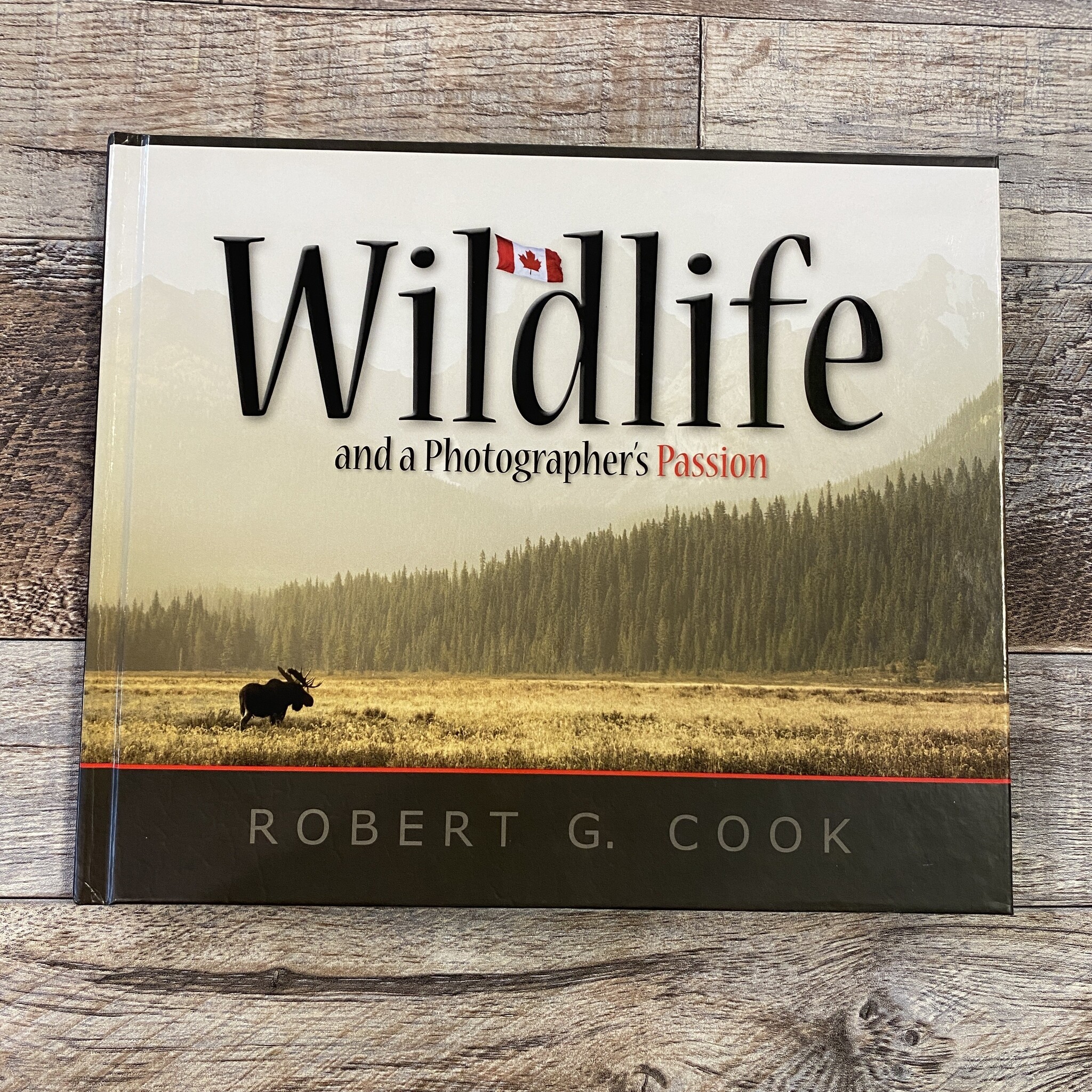 Wildlife and a Photographer's Passion Book - Backyard Birds Nature