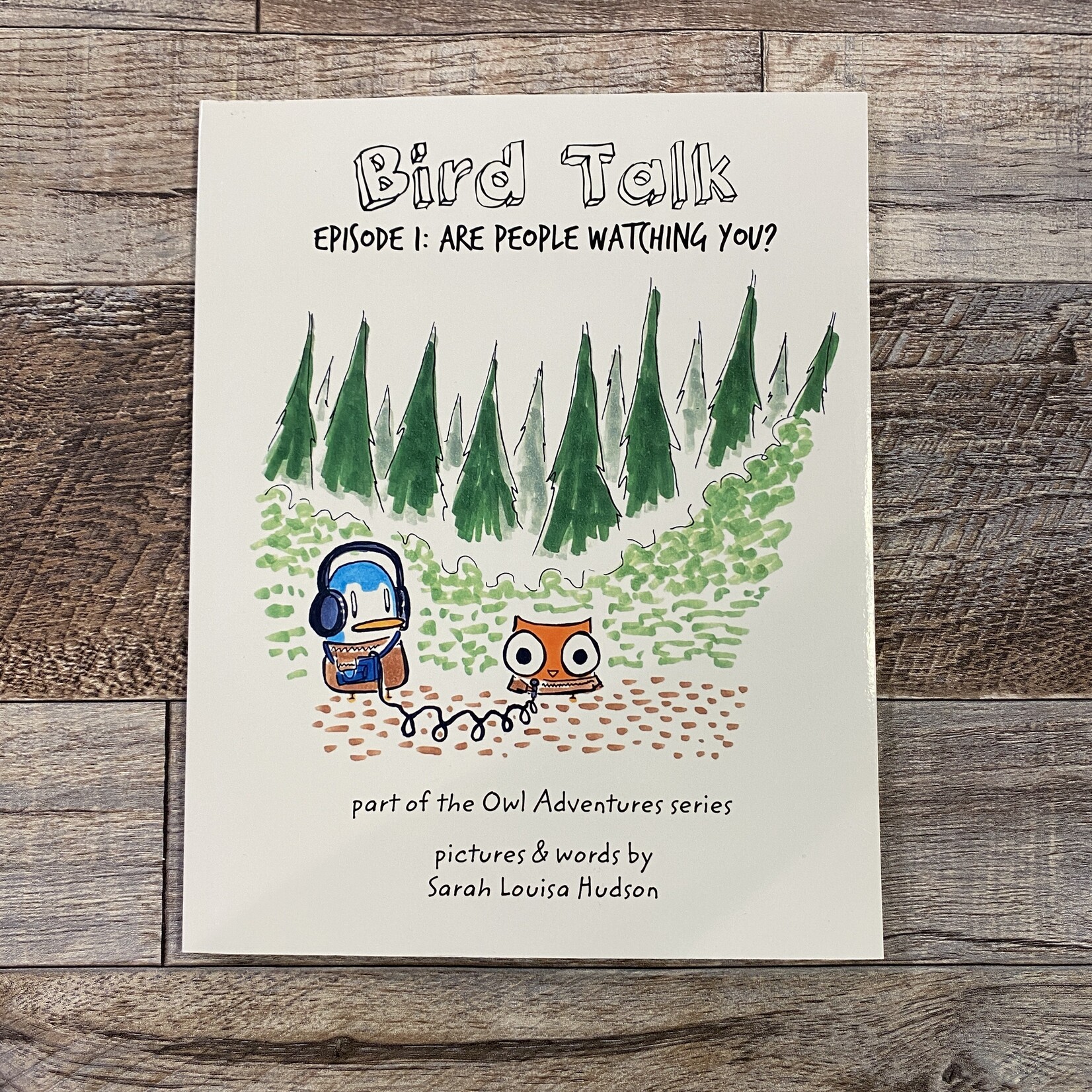 Bird Talk: Are People Watching You? (An Owl Adventures Book)